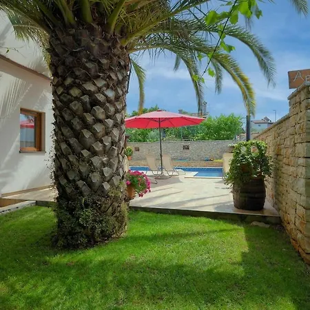 In With Swimming Pool *