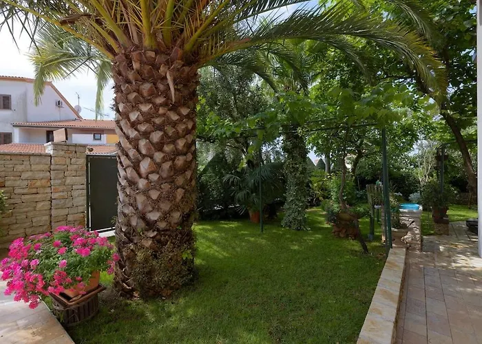 In Pula With Swimming Pool Semesterbostad Pula