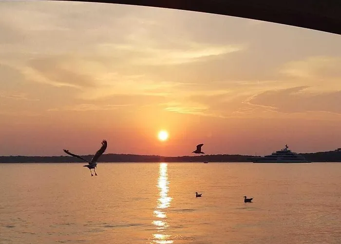 In With Swimming Pool *