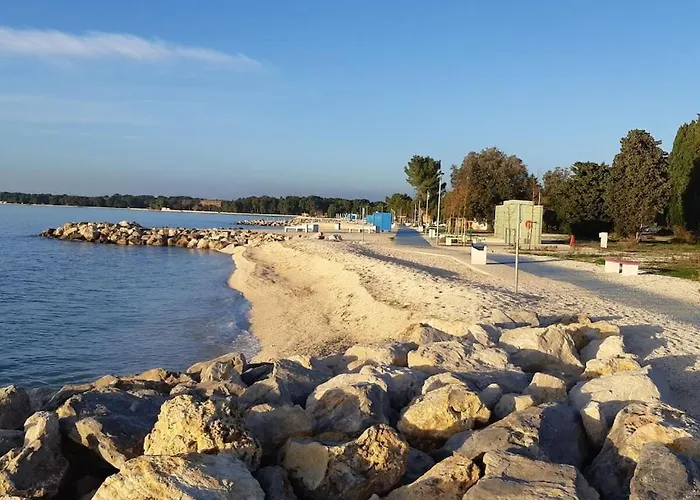 In With Swimming Pool *